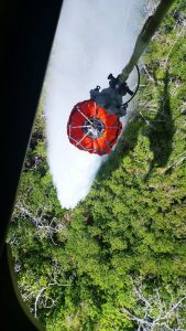 SEMAR brinda apoyo en el control de incendio en la Biosfera de Celestun, Yucatán