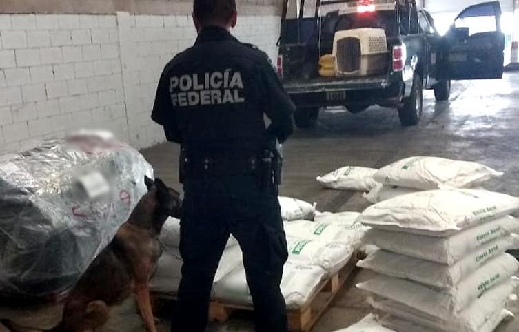 En Sonora la Policía Federal aseguró 70 kilos de metanfetamina