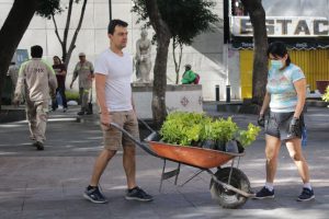 reforestación barrio chino cdmx