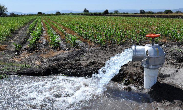 Agua agrícola Foto: Internet