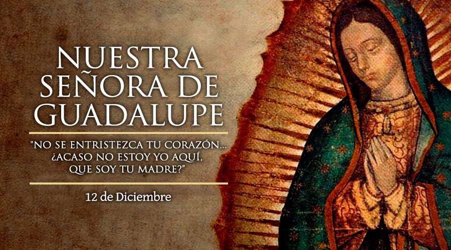 Virgen de Guadalupe Foto: Internet