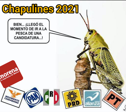 chapulines políticos