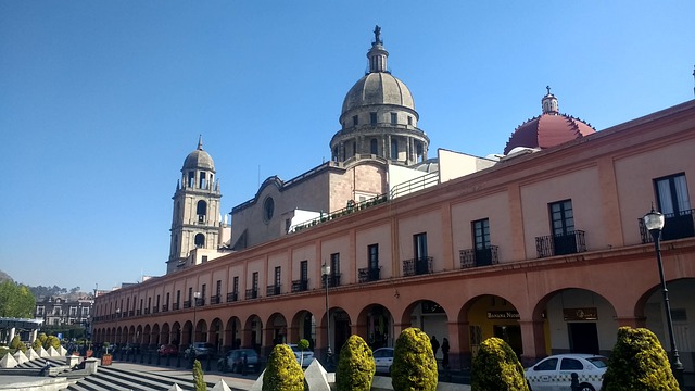 ¿Por qué Toluca?